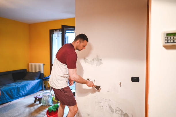 Best DIY Mold Remediation Support Services in Biloxi, MS